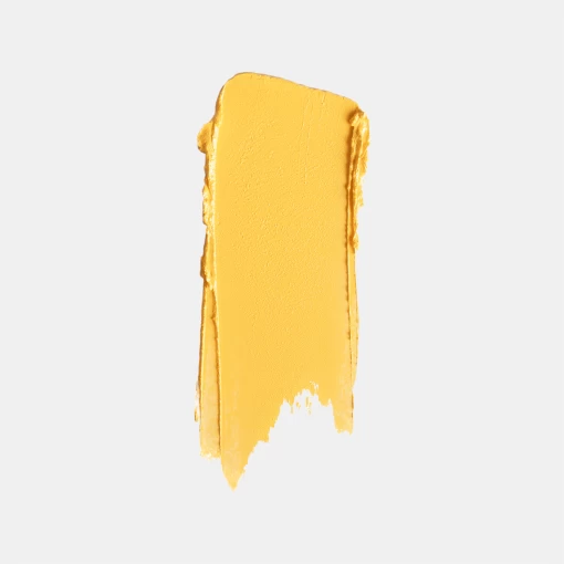 Gel Kẻ Mắt Lâu Trôi Vàng  Eye Amc Eyeliner Gel 84 (5.5G)