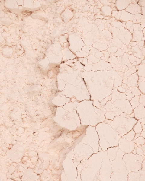 Phấn Phủ Vegan Mịn Nhẹ Kiềm Dầu Perfect Finish Loose Powder 12