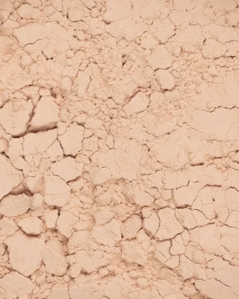 Phấn Phủ Vegan Mịn Nhẹ Kiềm Dầu Perfect Finish Loose Powder 14