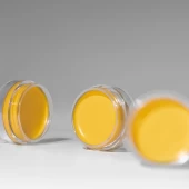 Gel Kẻ Mắt Lâu Trôi Vàng  Eye Amc Eyeliner Gel 84 (5.5G)