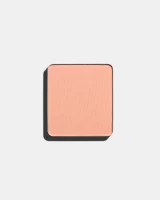 Lõi Phấn Mắt Dạng Lì Freedom System Eye Shadow Matte Nf 312 (2.7G)