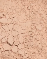 Phấn Phủ Vegan Mịn Nhẹ Kiềm Dầu Perfect Finish Loose Powder 04