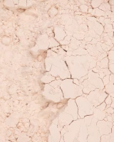 Phấn Phủ Vegan Mịn Nhẹ Kiềm Dầu Perfect Finish Loose Powder 12