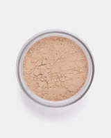 Phấn Phủ Vegan Mịn Nhẹ Kiềm Dầu Perfect Finish Loose Powder 14
