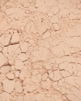 Phấn Phủ Vegan Mịn Nhẹ Kiềm Dầu Perfect Finish Loose Powder 14